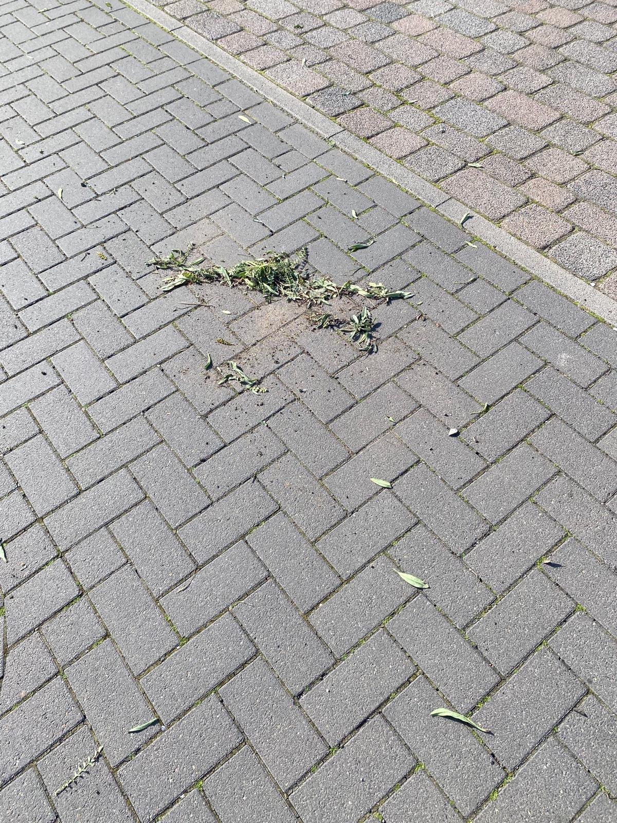 Vorher Steine