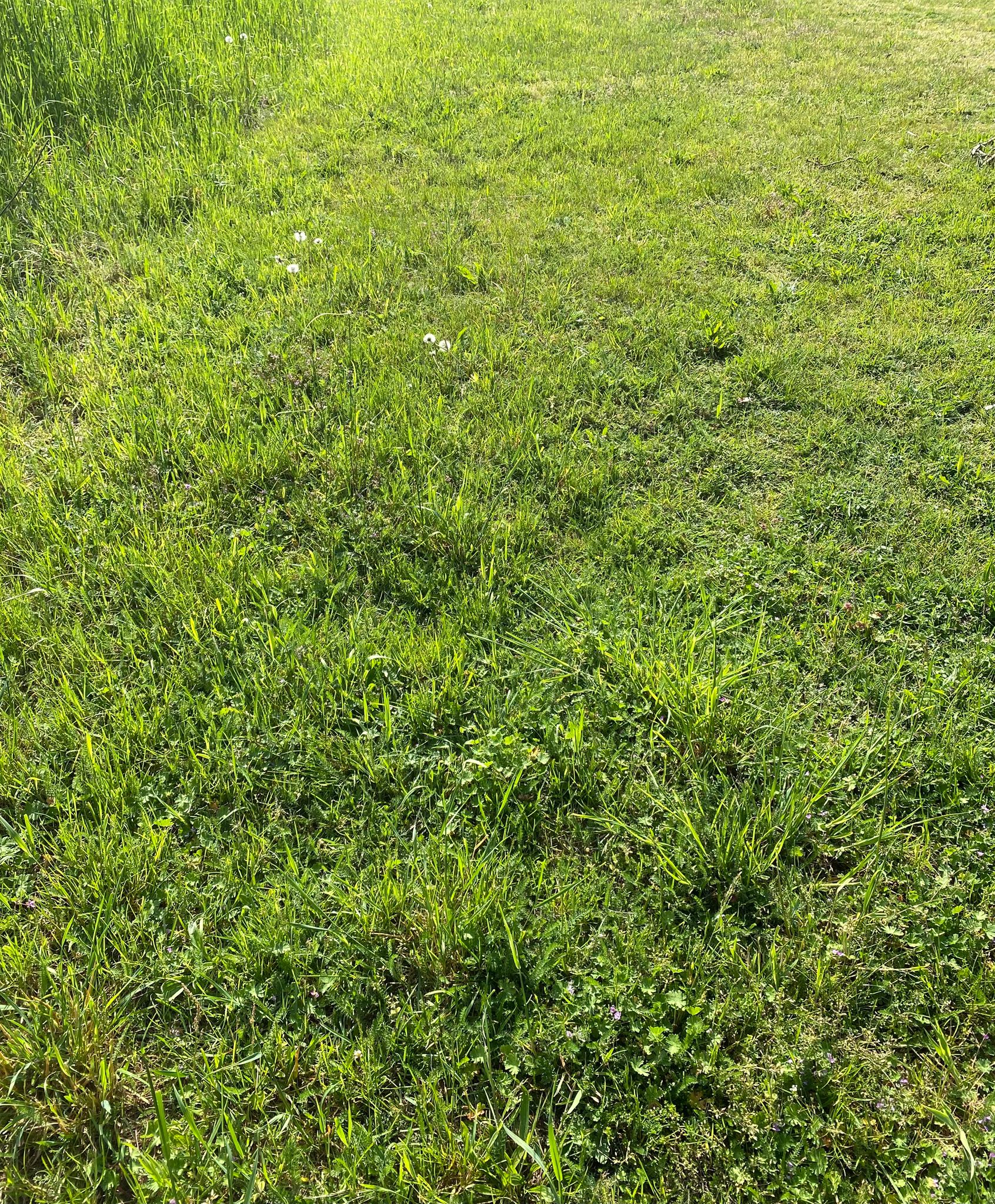 Vorher Steine
