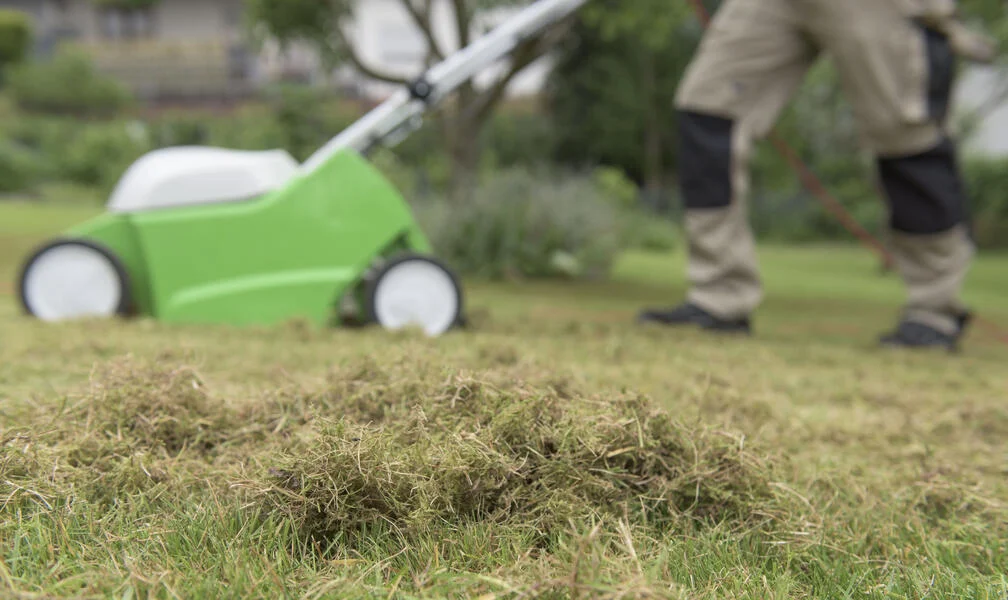 Rasen vertikutieren Symbolbild