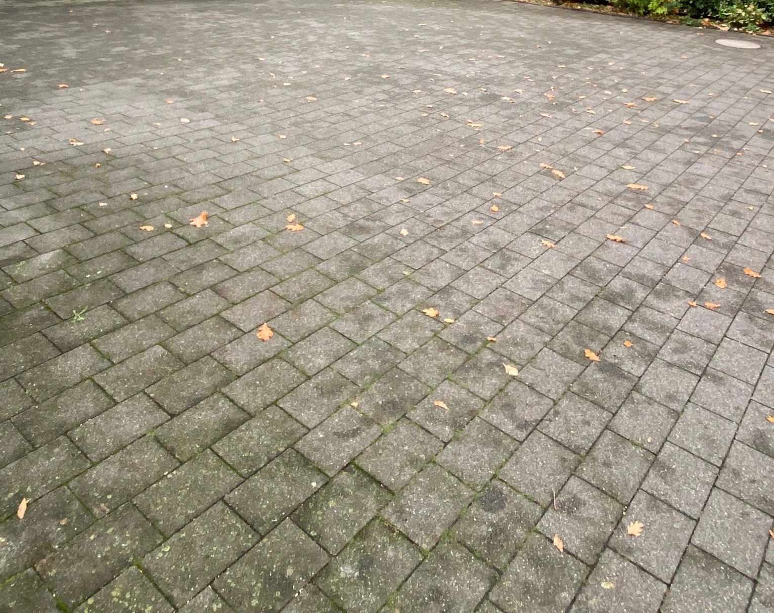 Nachher sauberer Hof